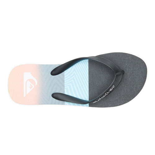 Quiksilver Molokai Panel - Flip-Flops for Men
